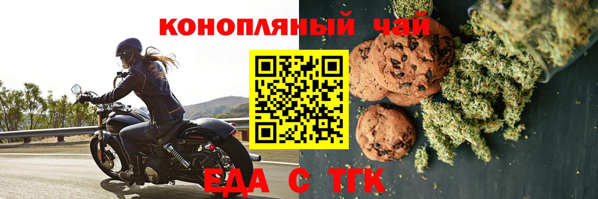 МЕФ Новозыбков