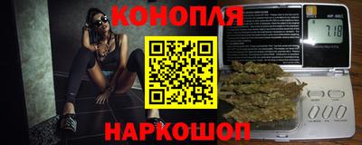 гашик Гусь-Хрустальный