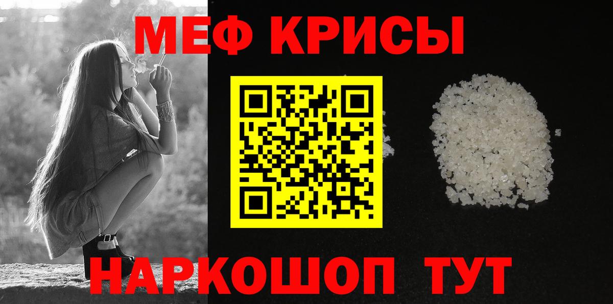 МЕФ  Новозыбков