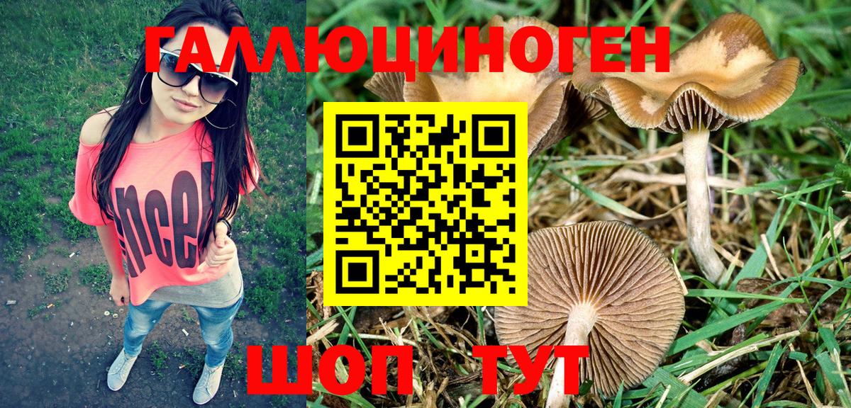 МАРИХУАНА  Вход с VPN  Alpha PVP СОЛЬ   ГАШ  NBOMe  Новозыбков  Мефедрон кристаллы 