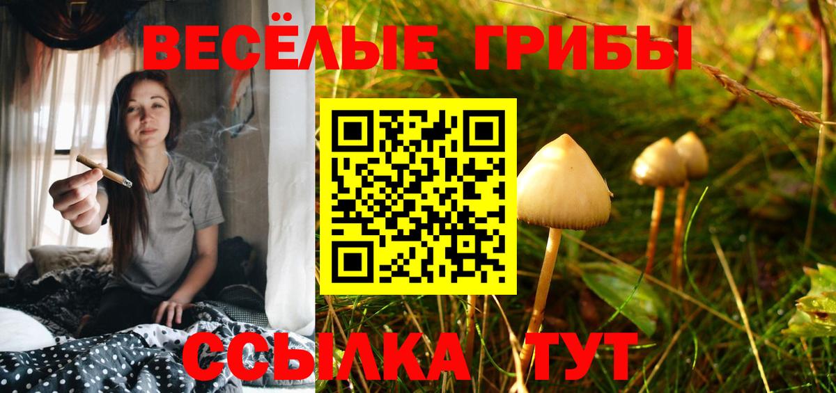 Галлюциногенные грибы прущие грибы Новозыбков